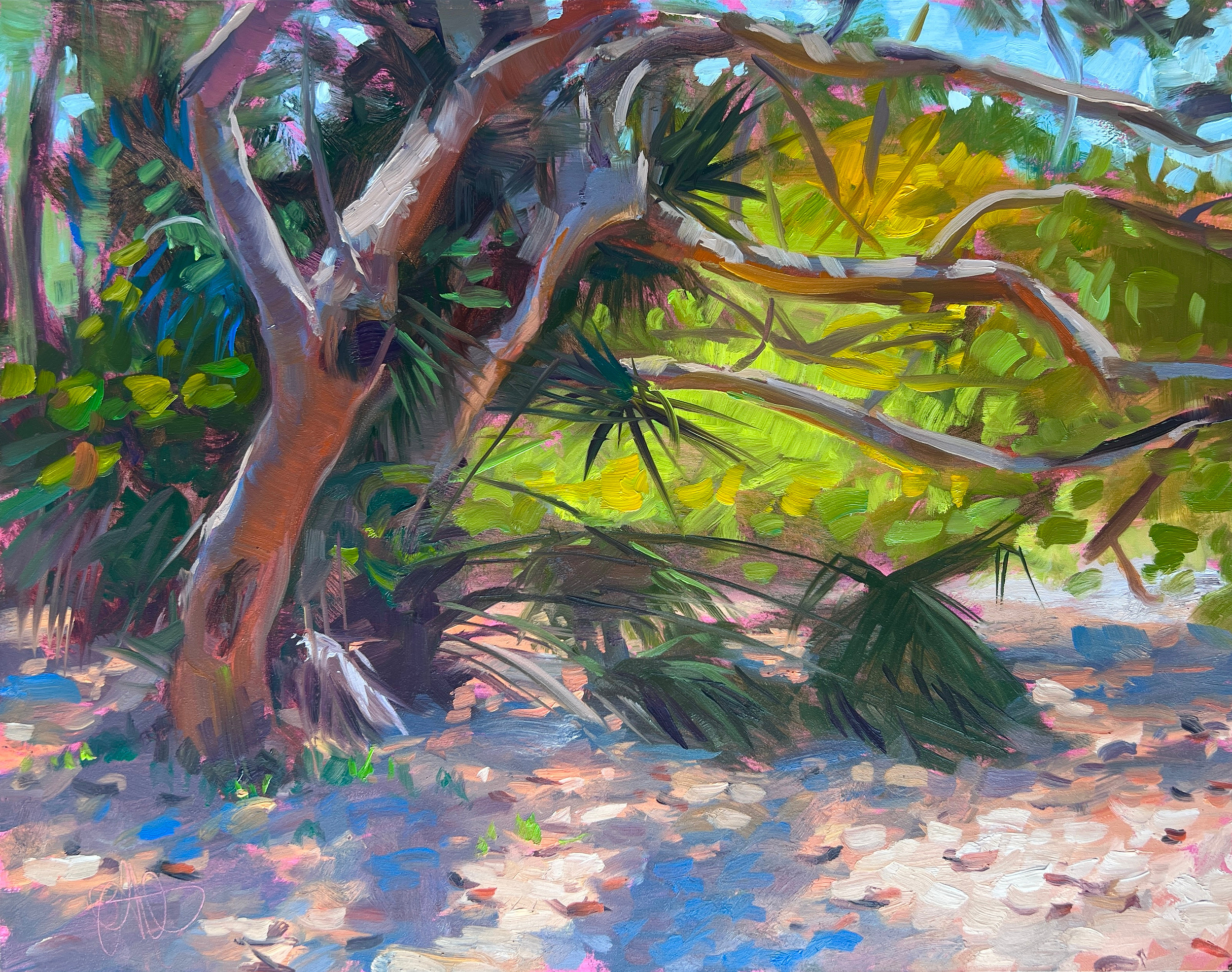 Tip-Toeing Sea Grapes, 2025
11 x 14 Oil on Panel
Painted En Plein Air
Biscayne Nature Center - Key Biscayne, FL